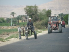 Traffic of Luxor