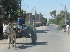 Street scene, West Bank, Luxor